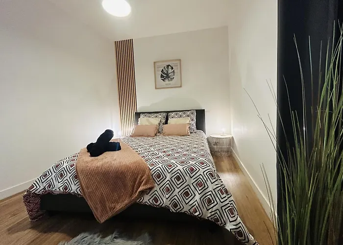 Casa Balzac - T3 Daire Angers